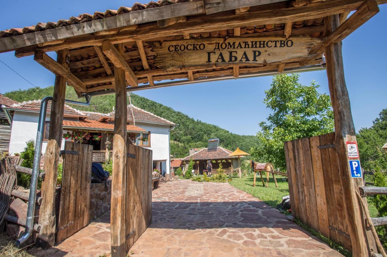 Seosko Domacinstvo „Gabar” Villa Custica Exterior foto